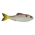 Soft plastic fishing lure resembling a small baitfish with white and pale pink body, yellow tail, and black spot near the head, designed for use with 6th Sense Panorama fishing rods.