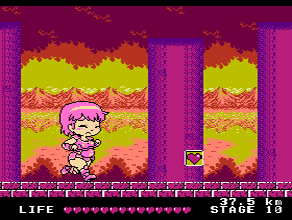 AMAZON'S TRAINING ROAD (NES)