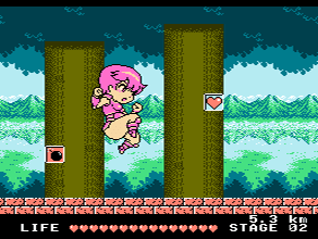 AMAZON'S TRAINING ROAD (NES)