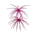 Arsenal Morning Star Urchin Elastomer Bait in translucent pink with dark speckles, featuring multiple flexible tendrils designed to mimic aquatic prey for fishing tackle use.