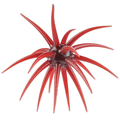 Berkley Powerbait Maxscent 'Moeba