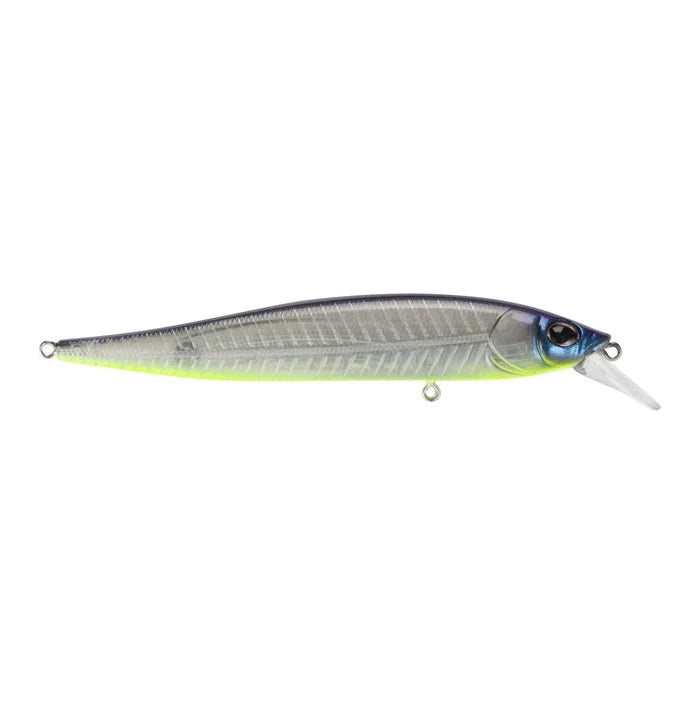 100 / Shad Fillet
