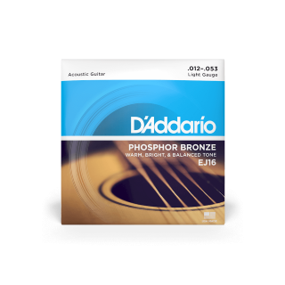 D'Addario 10-47 Light 12-String, Phosphor Bronze Acoustic Guitar Strings EJ38