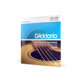 D'Addario 12-53 Light, Phosphor Bronze Acoustic Guitar Strings EJ16