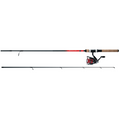 Daiwa D-Shock DS II FW Spinning Combo featuring a sleek black and red spinning rod with cork handle and attached reel, designed for freshwater fishing tackle.