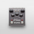 Demo - Strymon - El Capistan - dTape Echo Delay Pedal