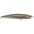 Emerald Shiner ND / 3 1/3"