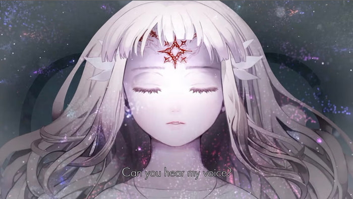 ENDER LILIES: QUIETUS OF THE KNIGHTS COLLECTOR'S EDITION (SWITCH)