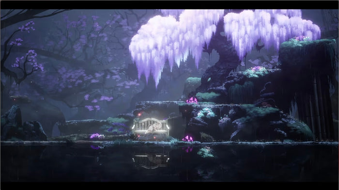 ENDER LILIES: QUIETUS OF THE KNIGHTS COLLECTOR'S EDITION (SWITCH)