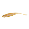 Close-up of the Engine LikeFive ES (Elastomer) soft fishing lure, featuring a realistic fish design in golden color with detailed eyes and a forked tail, ideal for musky fishing.