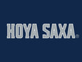 Georgetown University Hoya Saxa Blue Yardsy Sign