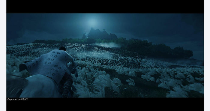 Ghost of Tsushima Director's Cut - PlayStation 4