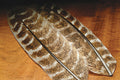 Two natural brown and beige patterned feathers laying flat on a wooden surface, identified as Hareline Ozark Oak Mottled Turkey Quills for fishing tackle and lure making.