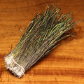 Hareline Peacock Herl Strung showing iridescent green and brown feather fibers bundled together, ideal for tying fishing lures and flies in musky fishing tackle.