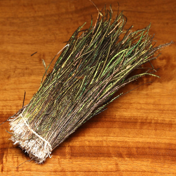 Hareline Peacock Herl Strung showing iridescent green and brown feather fibers bundled together, ideal for tying fishing lures and flies in musky fishing tackle.