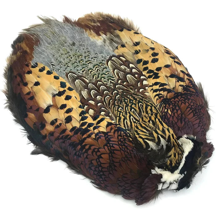 Hareline Ringneck Pheasant Skin showing layered brown, black, tan, and cream feathers with a natural pattern used for crafting fishing lures and fishing tackle.