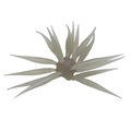 Hideup Coike Fish M (Elastomer)