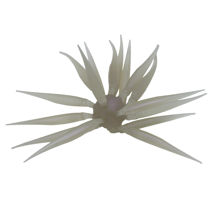 Hideup Coike Fish M (Elastomer)