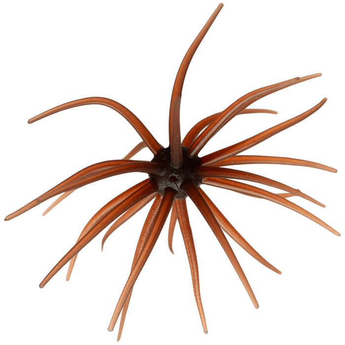 Hideup Kyu Coike