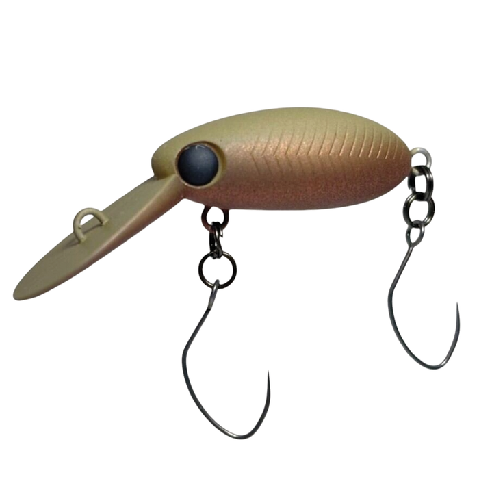 1" (25mm) / Bone Kanimiso Brawn