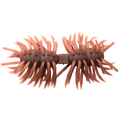 Imakatsu Hairy Spider Kujala 110