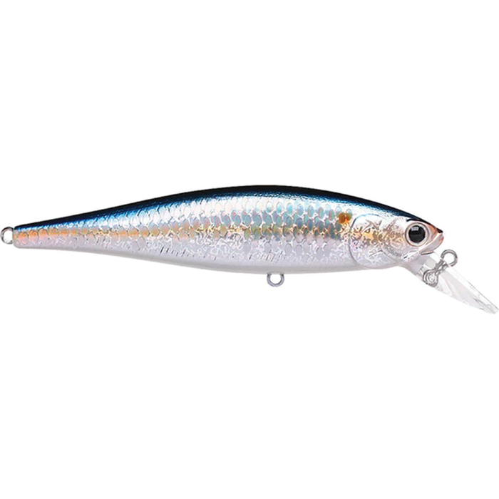 MS American Shad / 4"