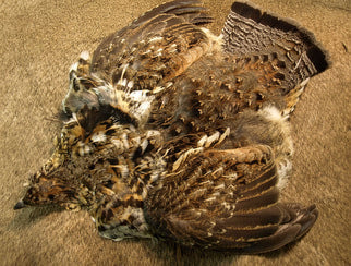 Close-up of Nature's Spirit Ruffed Grouse Skin showing detailed brown, tan, and cream feathers with natural patterns, used for fly fishing tackle and lure crafting.