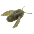 Nories 2" Clionex soft fishing lure in olive green with black speckles, designed to imitate a small insect or aquatic creature for effective fishing tackle use.