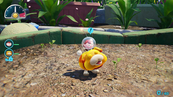 Pikmin 4 - Nintendo Switch 2 Edition + Dandori Academy - Nintendo Switch 2