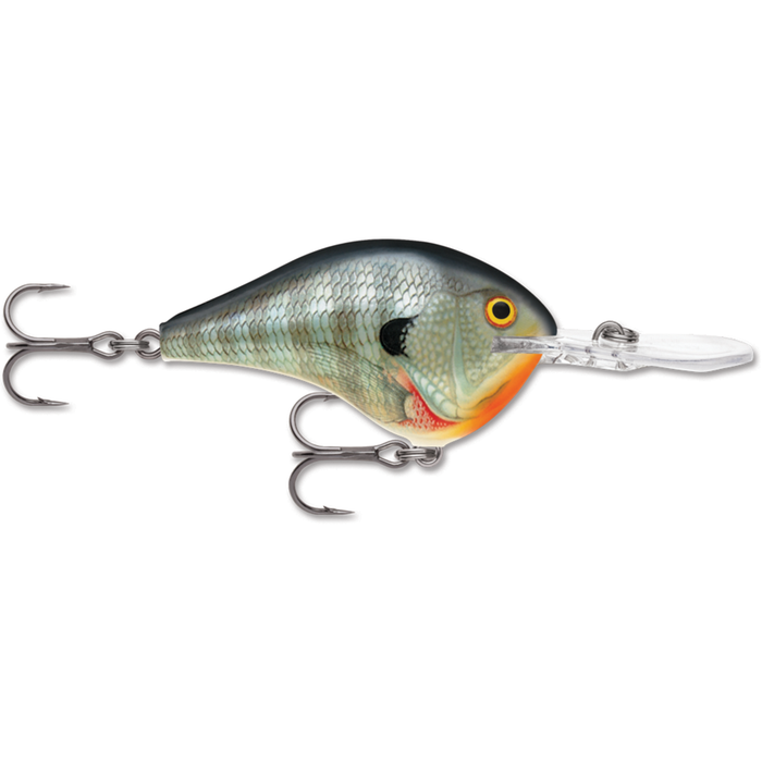 Rapala DT08 fishing lure designed with realistic fish scale pattern and colors, featuring two sharp treble hooks and a clear diving lip for effective fishing tackle use.
