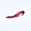 Single Buford Urban Fly Co. fishing lure featuring vibrant pink and brown feathers with detailed patterns, designed for fly fishing and musky tackle enthusiasts.