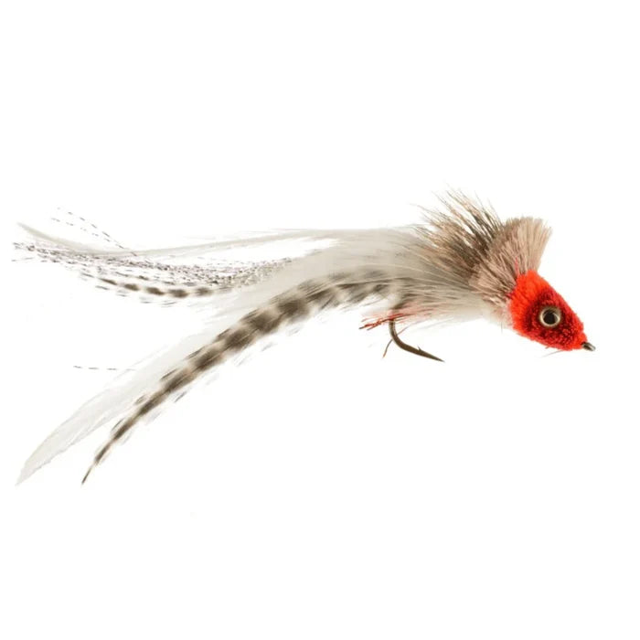 Swimming Baitfish #1/0 fly fishing lure with a red head, feathered body, and detailed accessory for musky and ice fishing tackle.