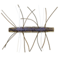Z-Man Fuzzy TRD fishing lure with a segmented, translucent body featuring purple flecks and multiple soft, flexible legs in brown and white for lifelike movement in water.